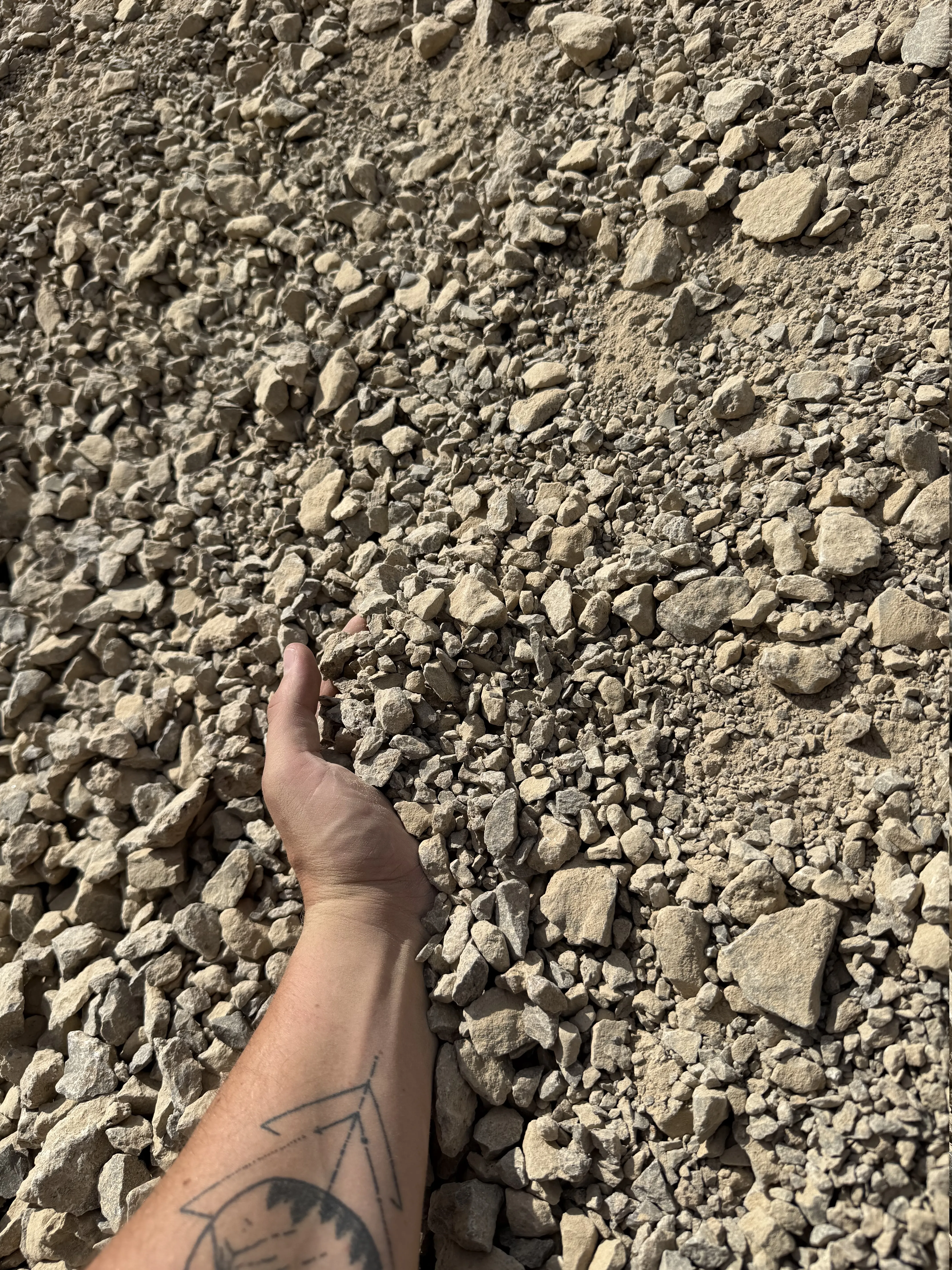Muschelkalk-Schotter – Detailansicht 1